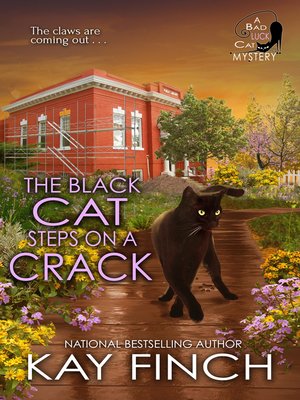 cover image of The Black Cat Steps on a Crack